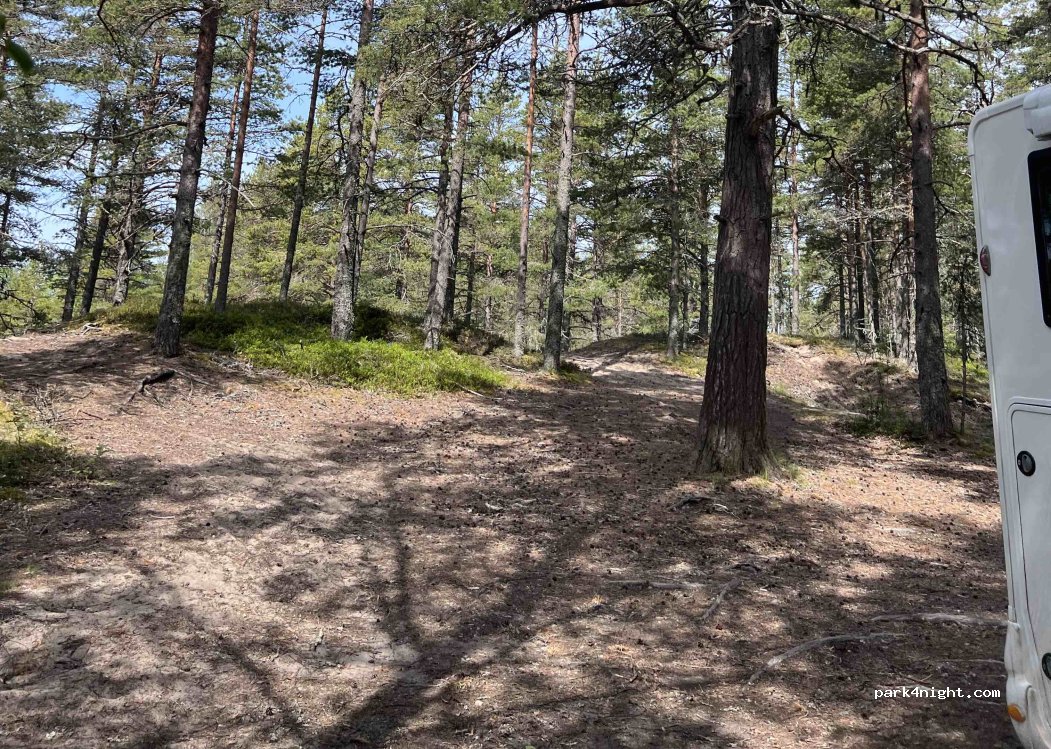 (907 88) Täfteå - 46 FÄBODSANDEN — foto 2