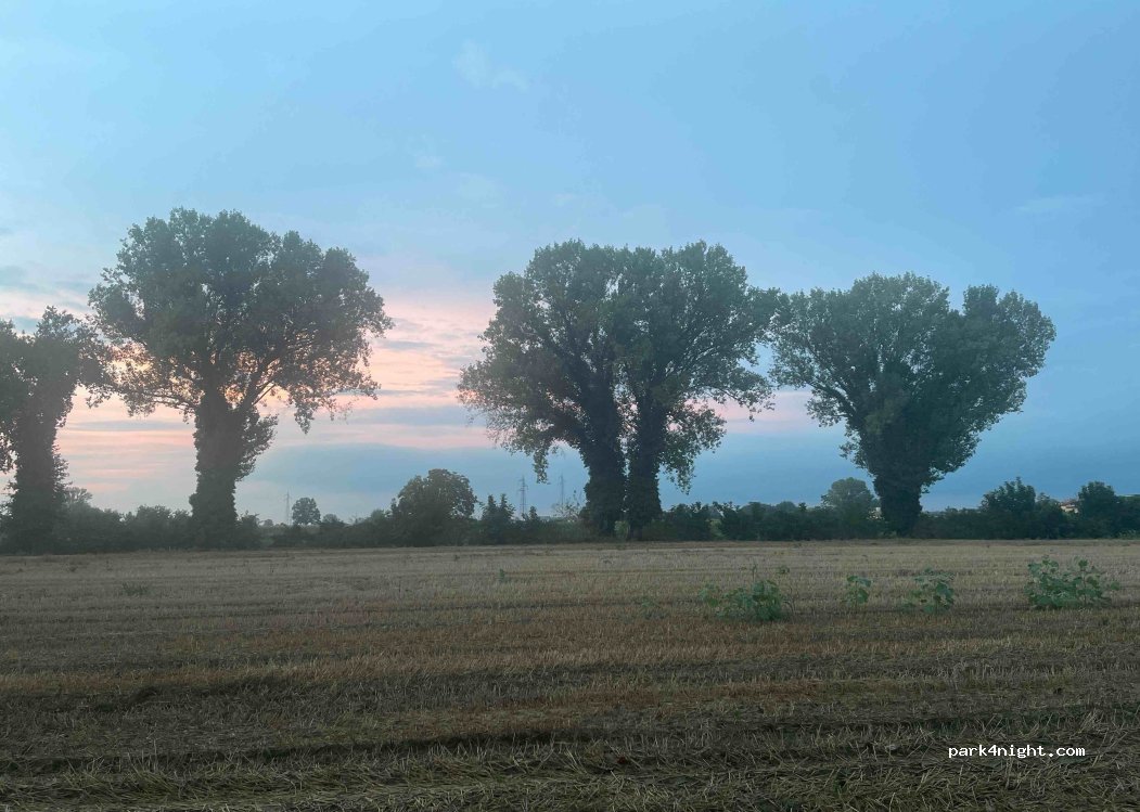 (26862) Guardamiglio - — foto 2