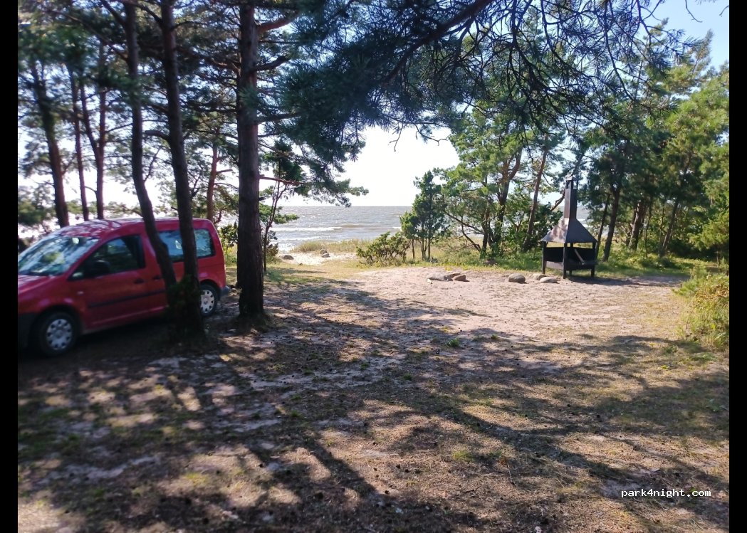 (88219) Matsi - Varamurru tee — foto 3