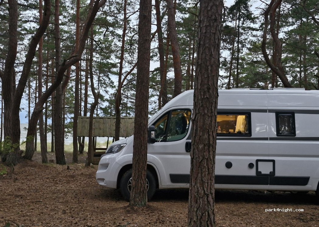 (88219) Matsi - Varamurru tee — foto 4