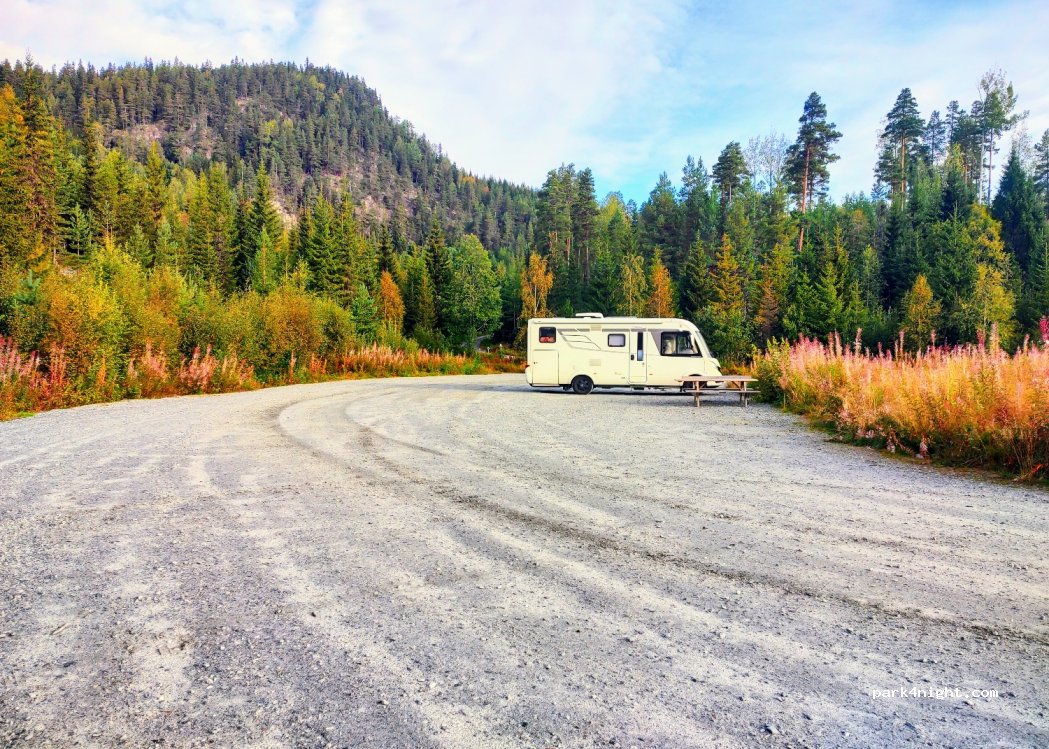 (3540) Nesbyen - Vassfarvegen — foto