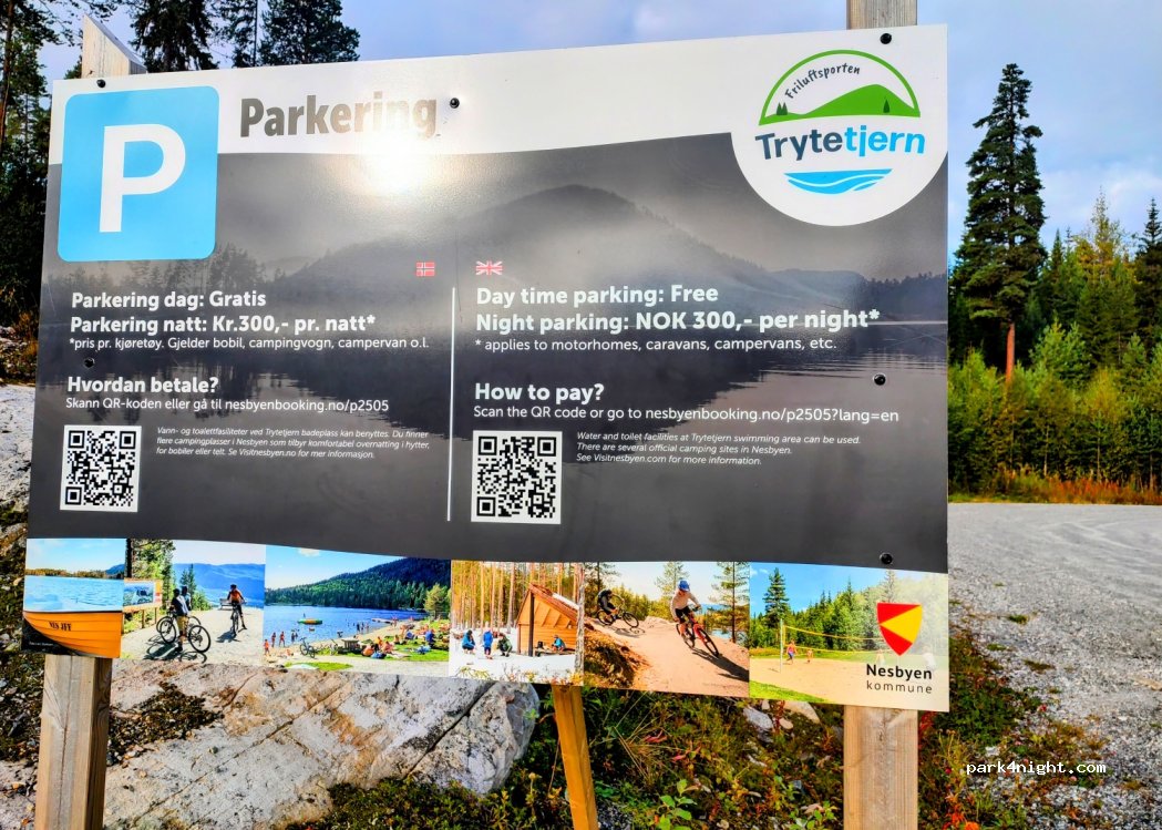 (3540) Nesbyen - Vassfarvegen — foto 2