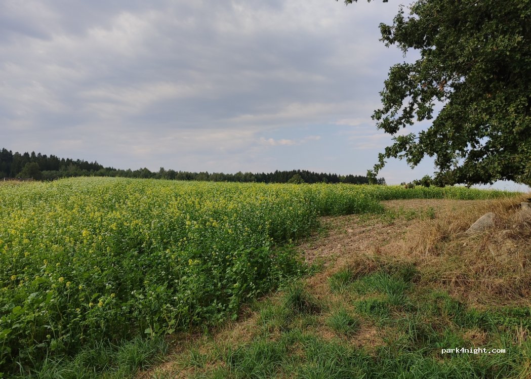 (4212) Rudersdorf - — foto 3