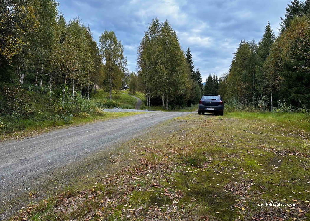 (7882) Nordli - — foto