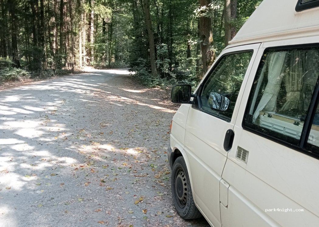 (95500) Heinersreuther Forst in Upper Franconi - — foto 3