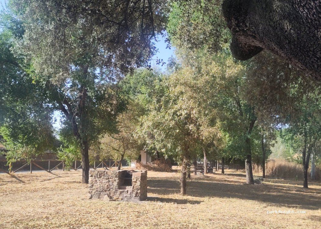 (41250) El Real de la Jara - Cam. del Batrocal — foto 2
