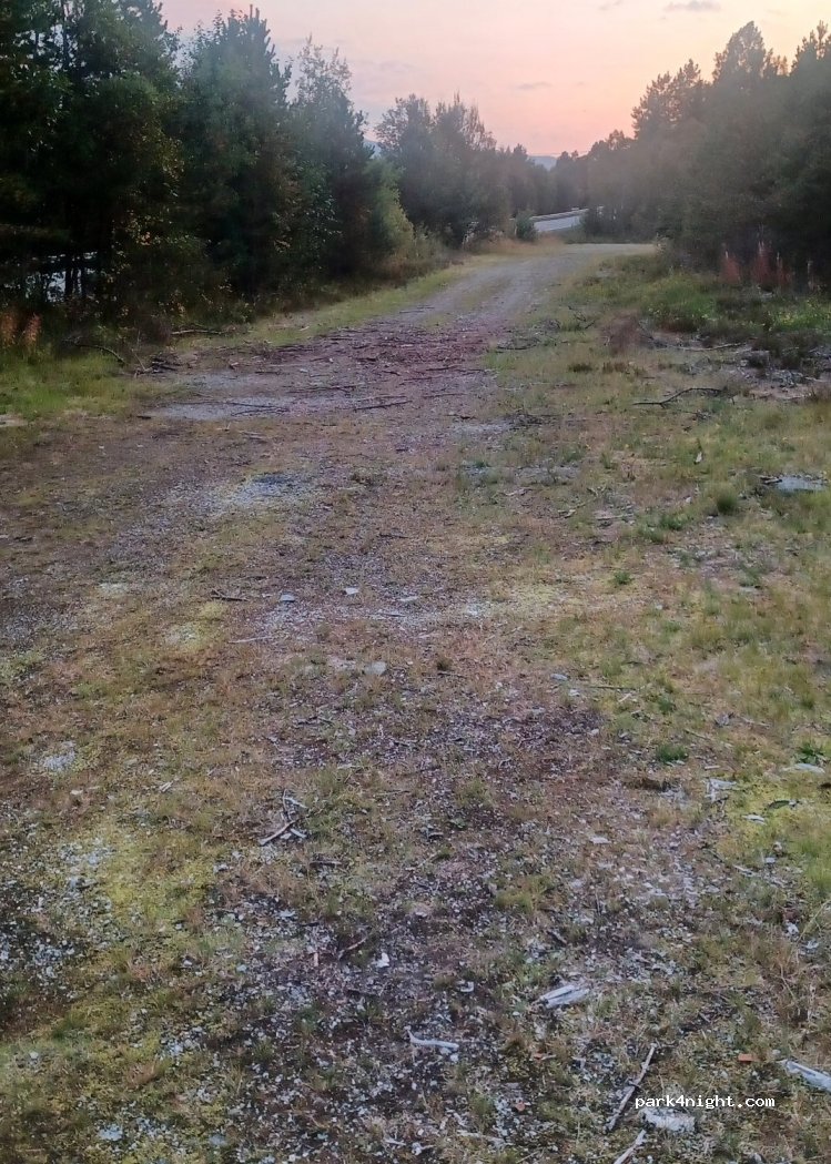 (7203) Vinjeøra - 1543 Søvasskjølvegen — foto