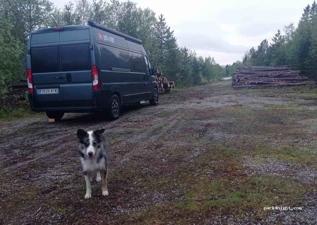 (7203) Vinjeøra - 1543 Søvasskjølvegen — foto 2
