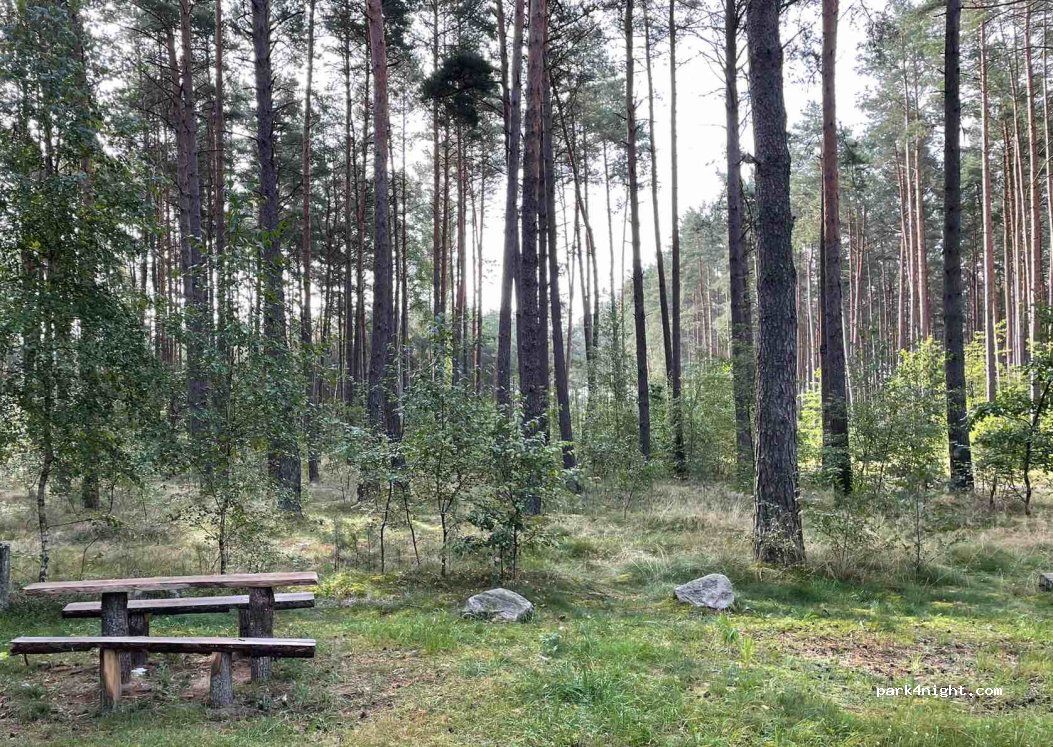 (73-220) Brzeziny - Unnamed Road — foto