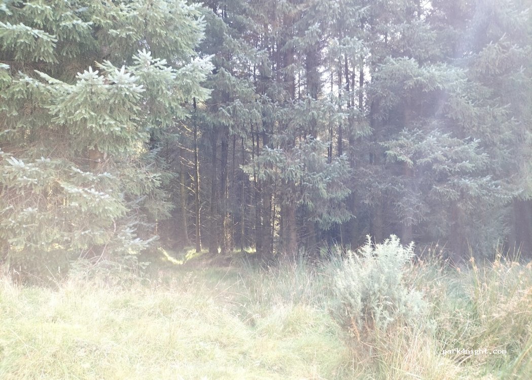 (V92 XT66) Ballyduff Cross - — foto
