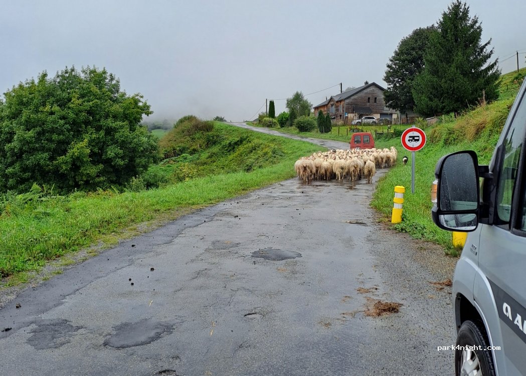 (64490) Lescun - 5 Lanedert — foto 2