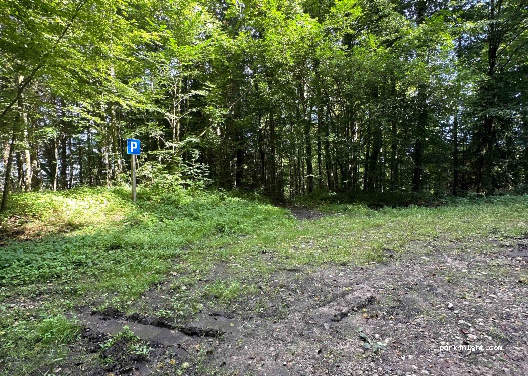 (1732) Bois-d'Amont - 43 La Souche — foto
