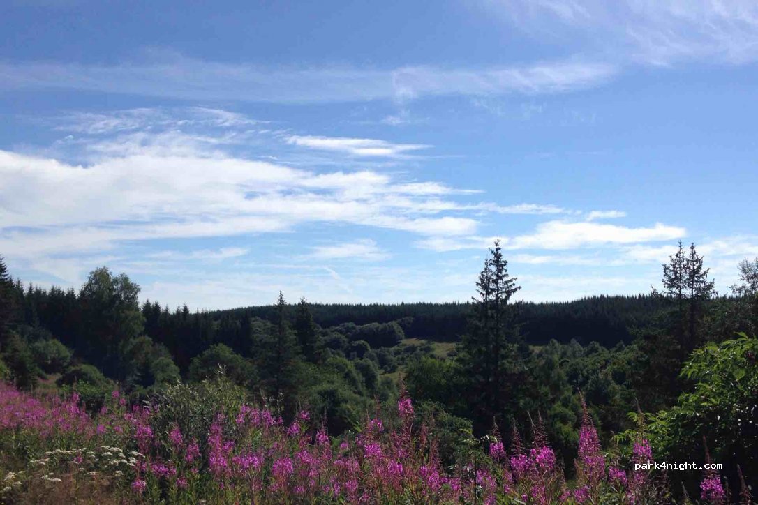 (48170) Arzenc-de-Randon - Unnamed Road — foto 3
