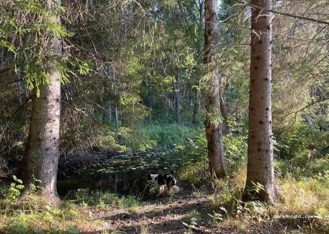 (829 95) Harmånger - — foto 3