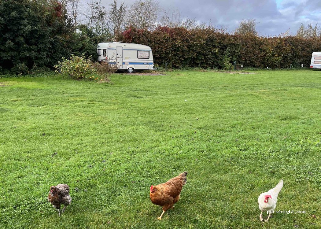 De Terp Texel — foto 4