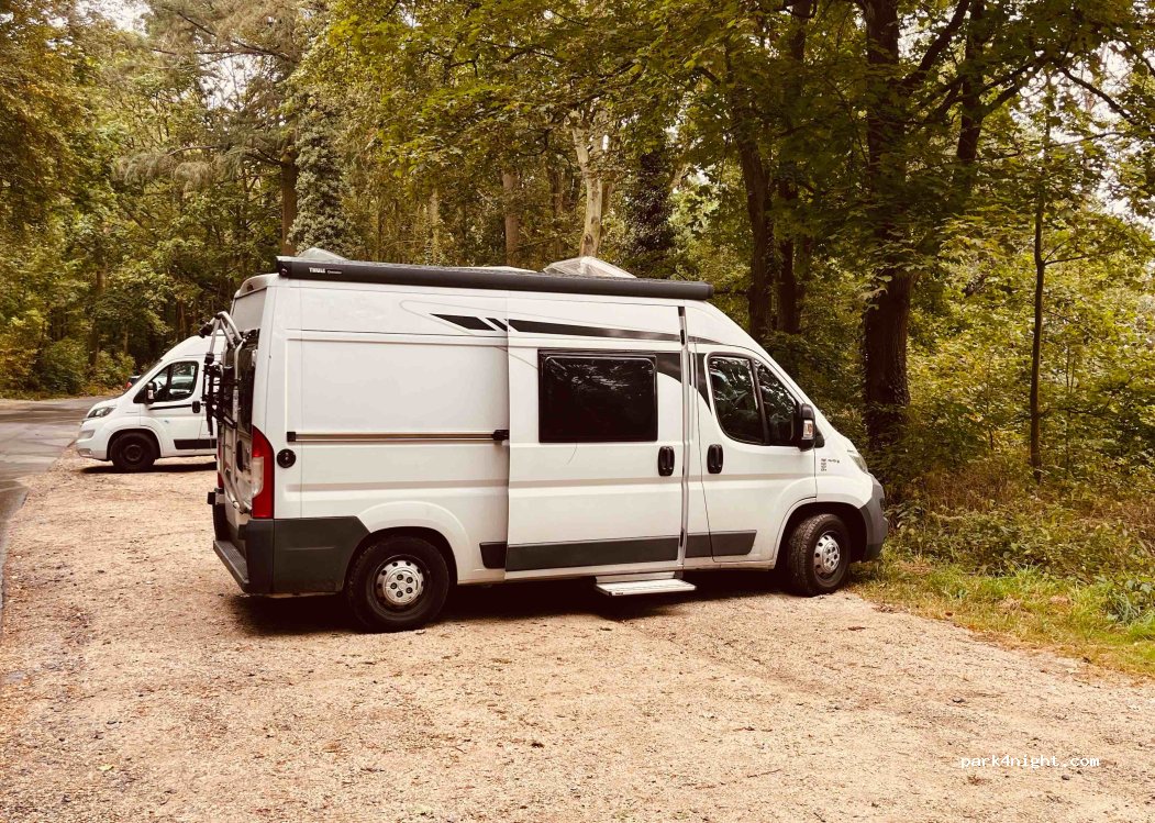 (61231) Bad Nauheim - 14 Johannisberg — foto