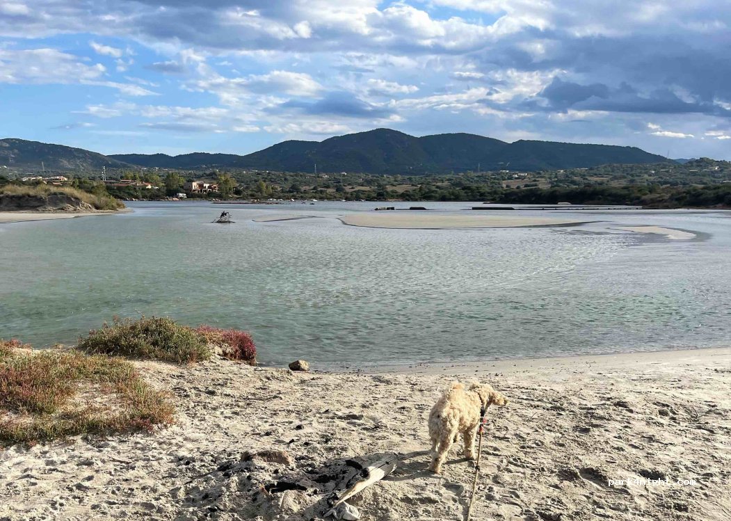 (07026) Olbia - 21 Via Punta Saline — foto 3