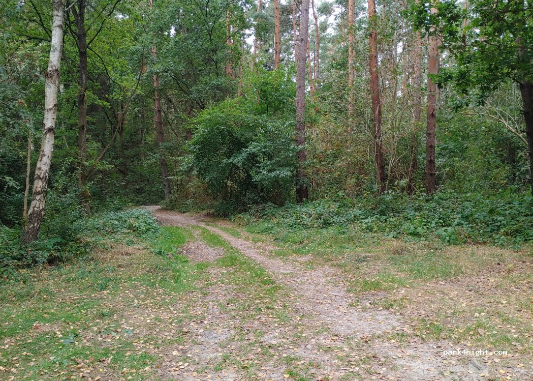 (76-270) Dębina - 3 Świerkowa — foto 2