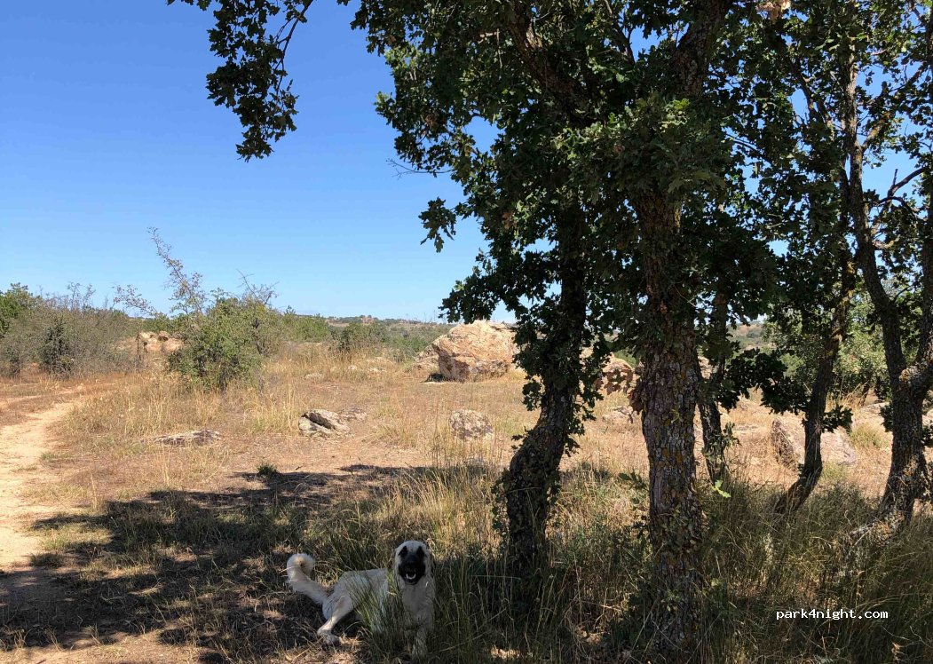 (39100) Demircihalil - Unnamed Road — foto 2
