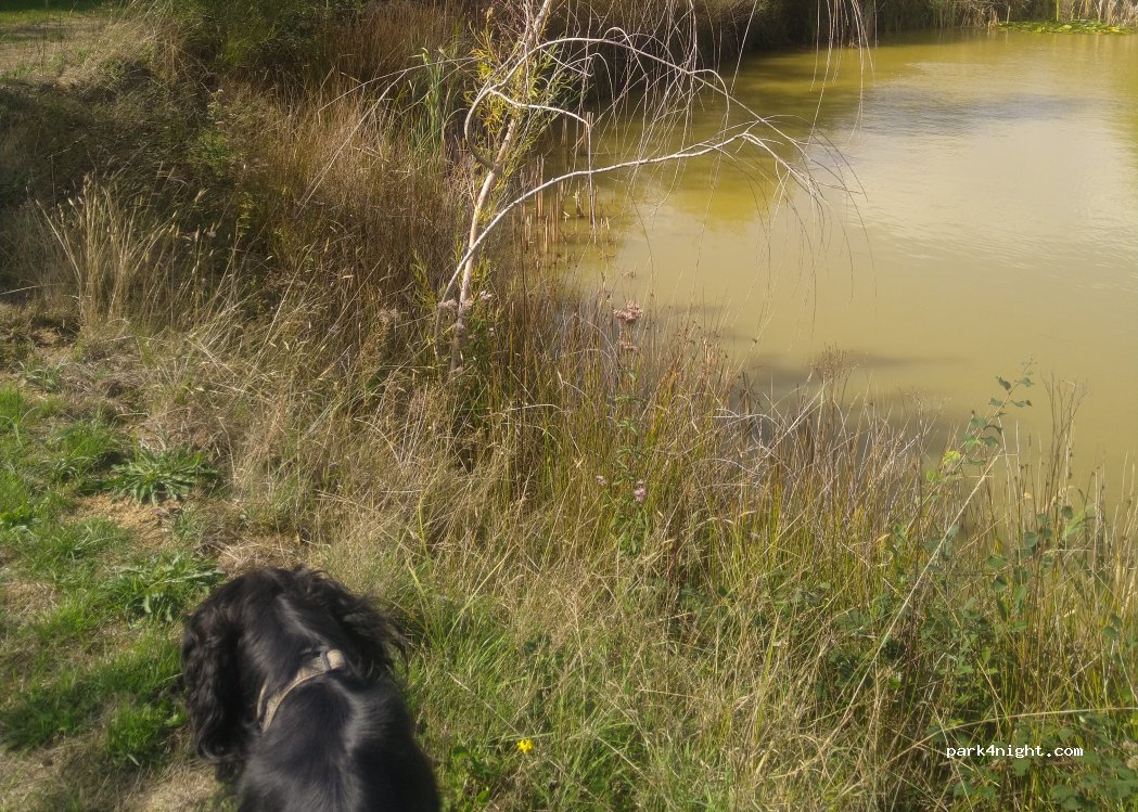Domaine La Faix — foto 4