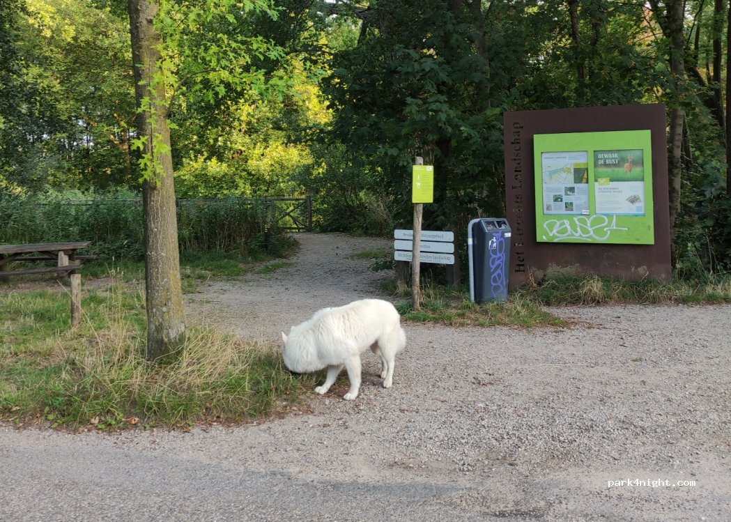 (3481 GT) Harmelen - 44 Tiendweg — foto 2