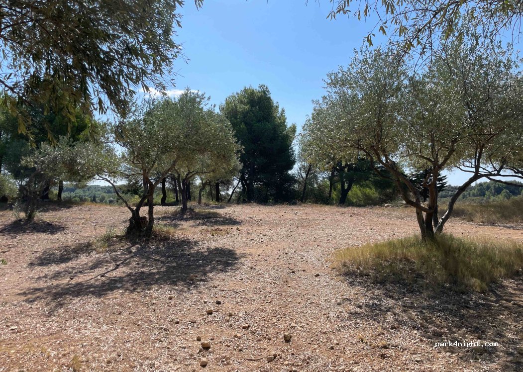 (34120) Castelnau-de-Guers - — foto