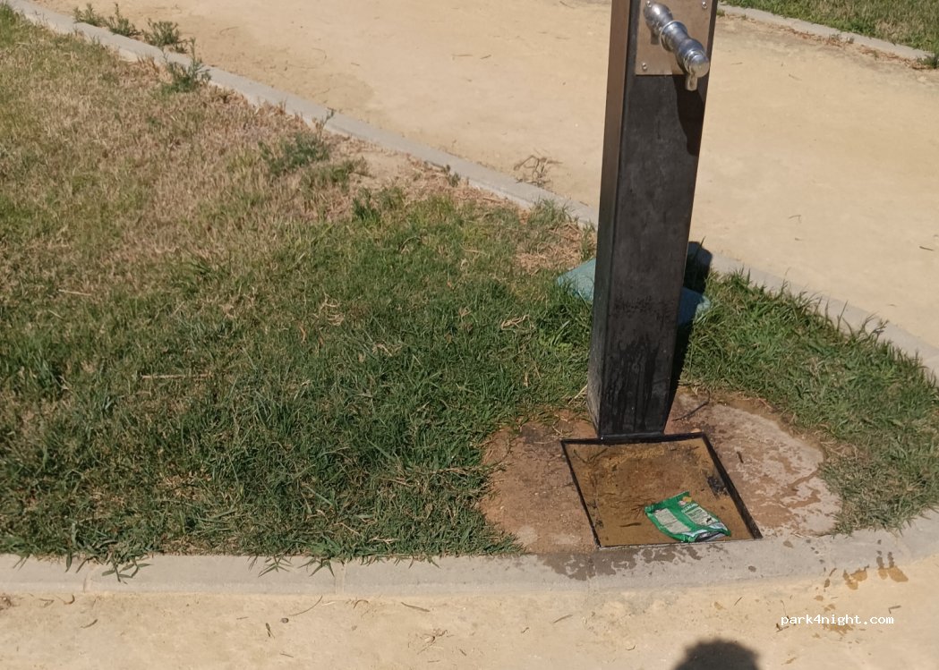 (21800) Moguer - 181 Avenida de la Constitución — foto 3