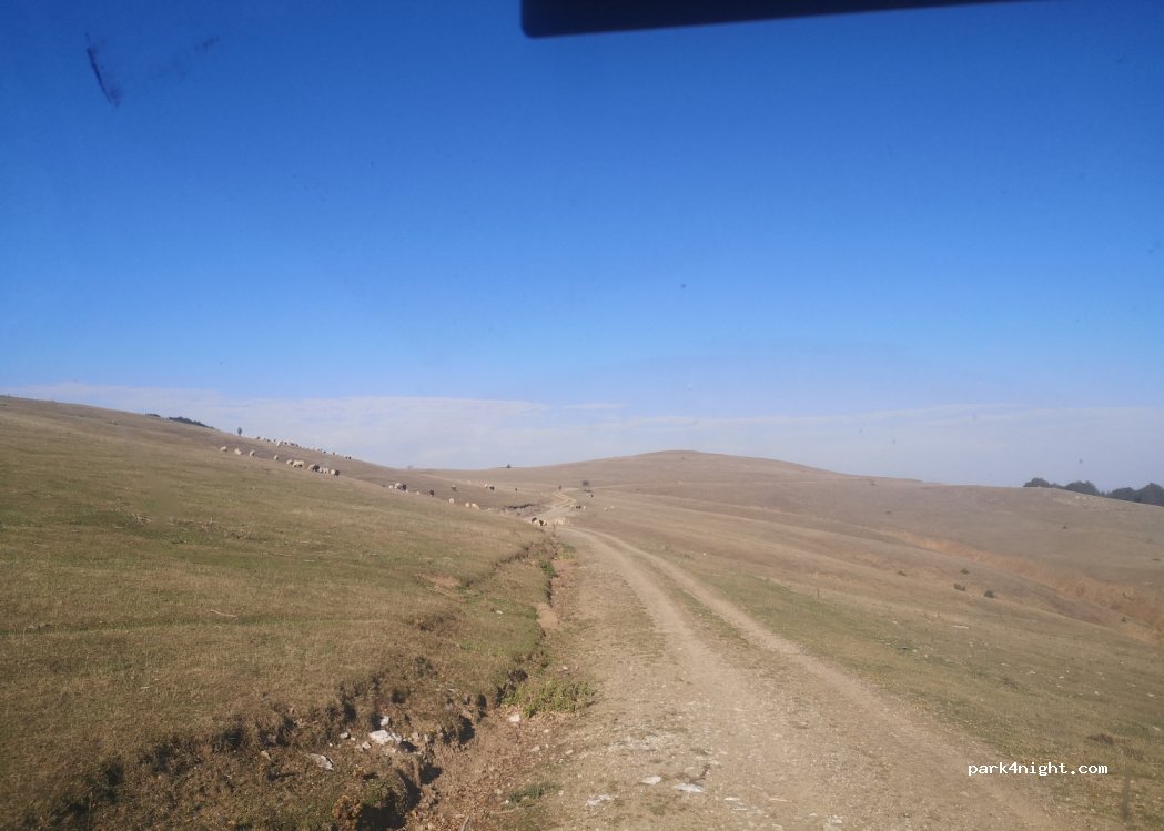 (55900) Sarıdibek - — foto