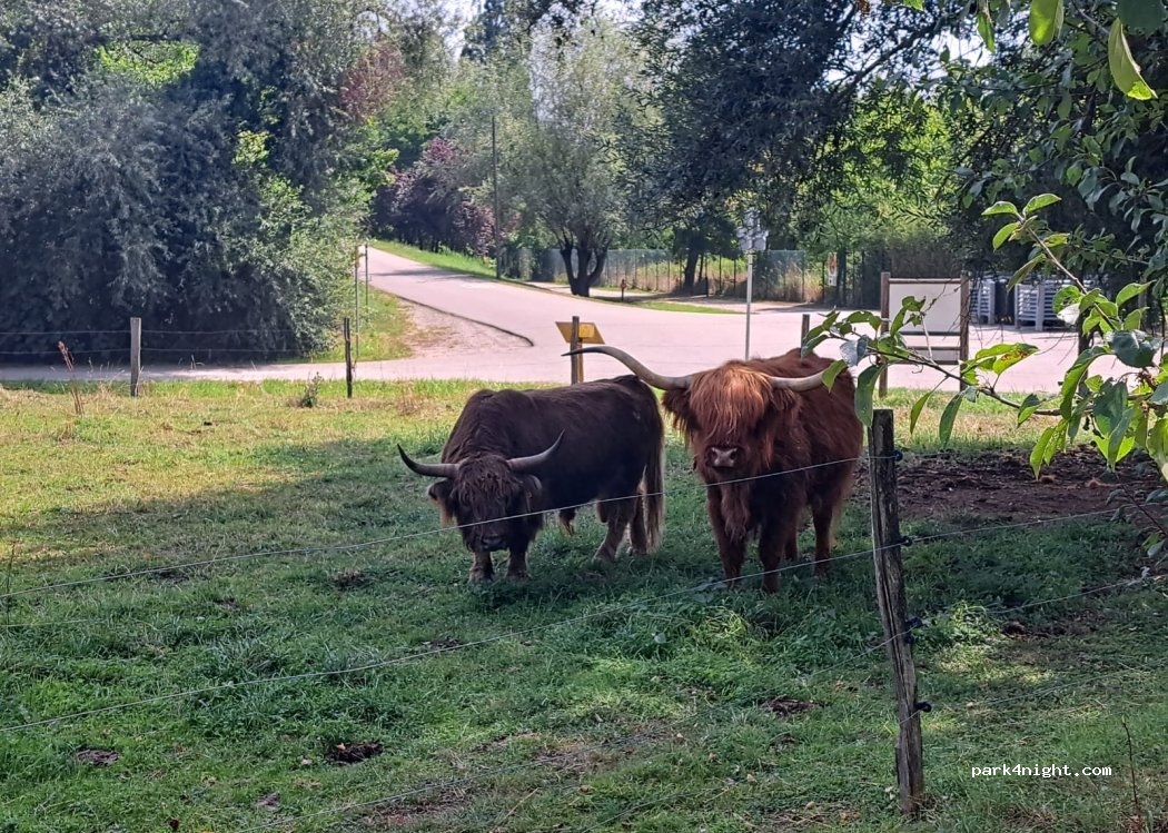 (57950) Montigny-lès-Metz - 105 Rue du Haut Rhele — foto 2