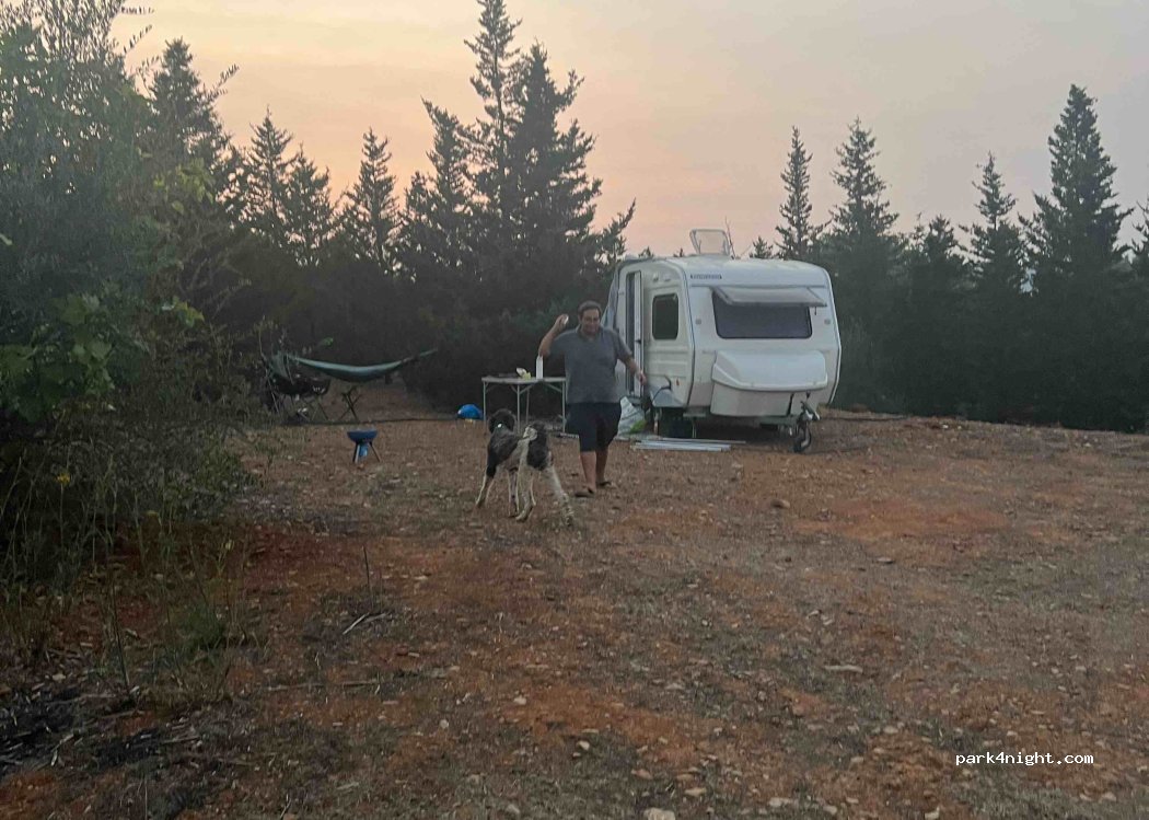 Bela Glamping & Caravan Parking — foto 2