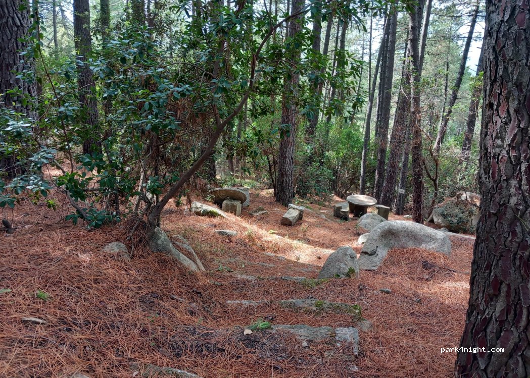 (07029) Tempio Pausania - SP51 — foto 2