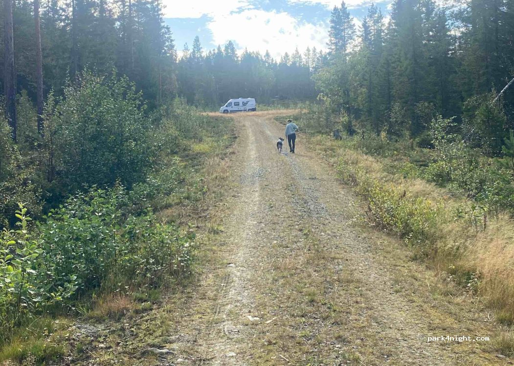 (922 95) Vidstrandsnäs - — foto