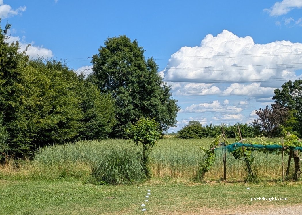 Agricola Giovanardi — foto