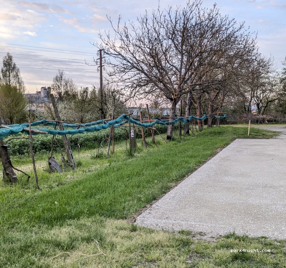 Agricola Giovanardi — foto 3