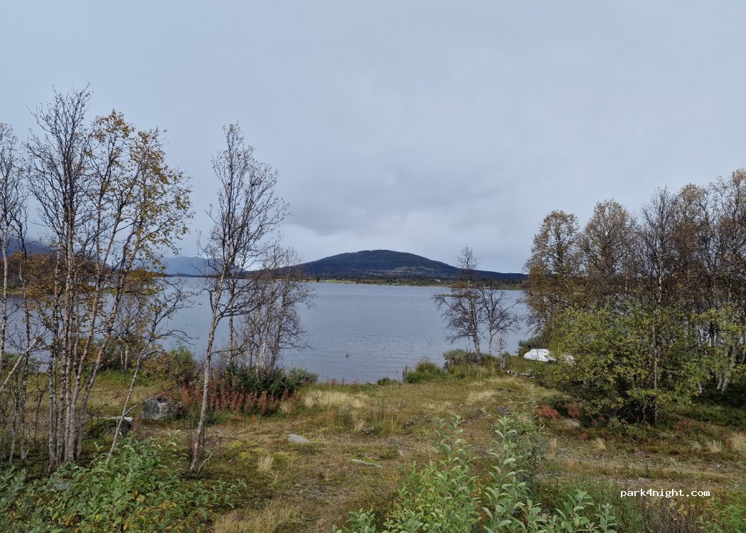 (2960) Røn - 2424 Panoramavegen — foto 3