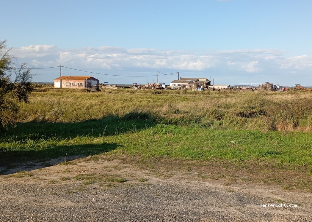 (17550) Dolus-d'Oléron - 105 Route des Huîtres — foto
