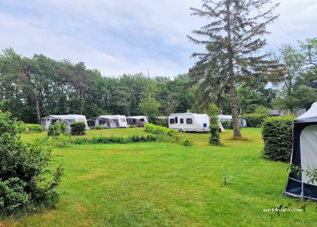 Camping de Drentse Patrijs — foto