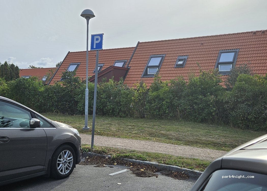 (239 40) Falsterbo - 1 Hjalmar Gullbergs plan — foto