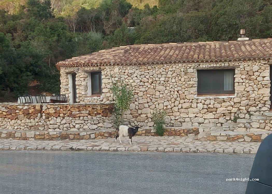 (08040) Baunei - Pedra Longa — foto 3