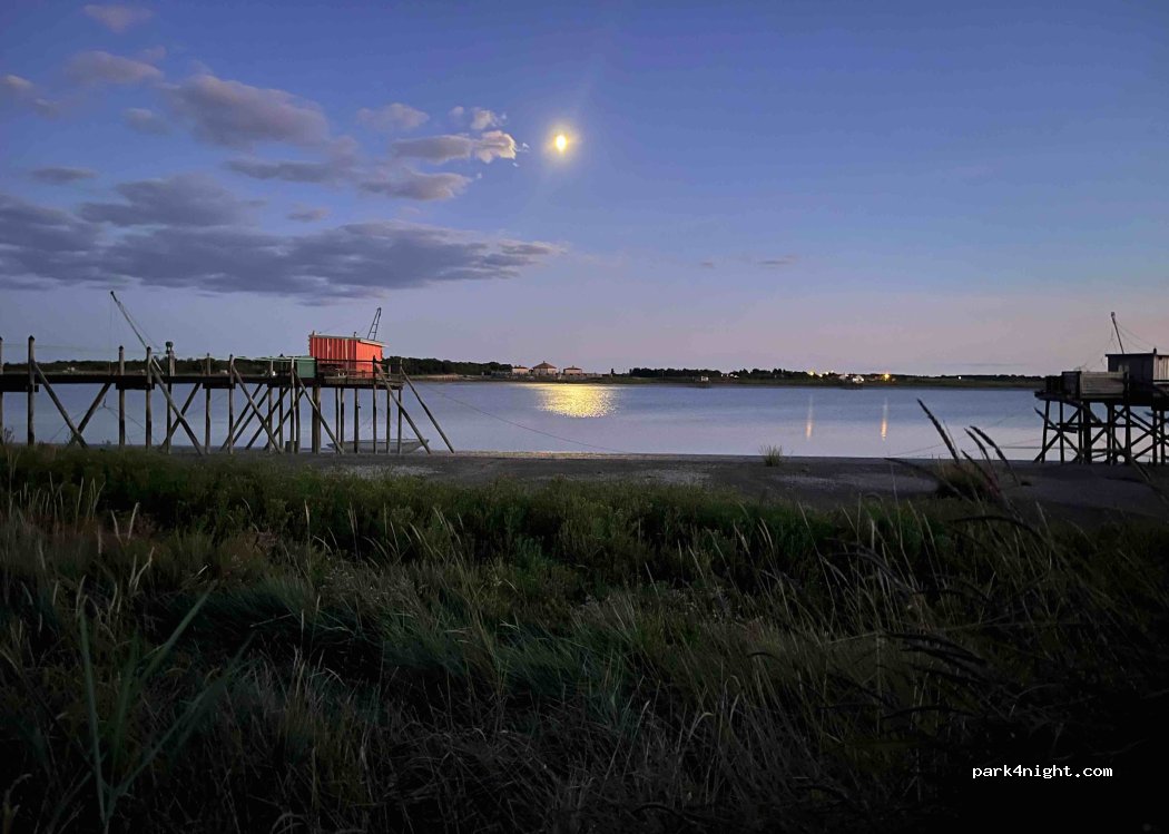 (17450) Saint-Laurent-de-la-Prée - — foto