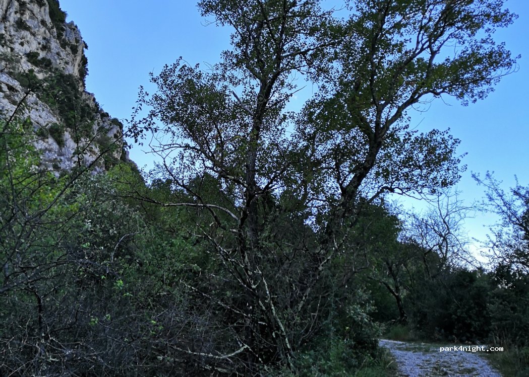 (07150) Vallon-Pont-d'Arc - — foto