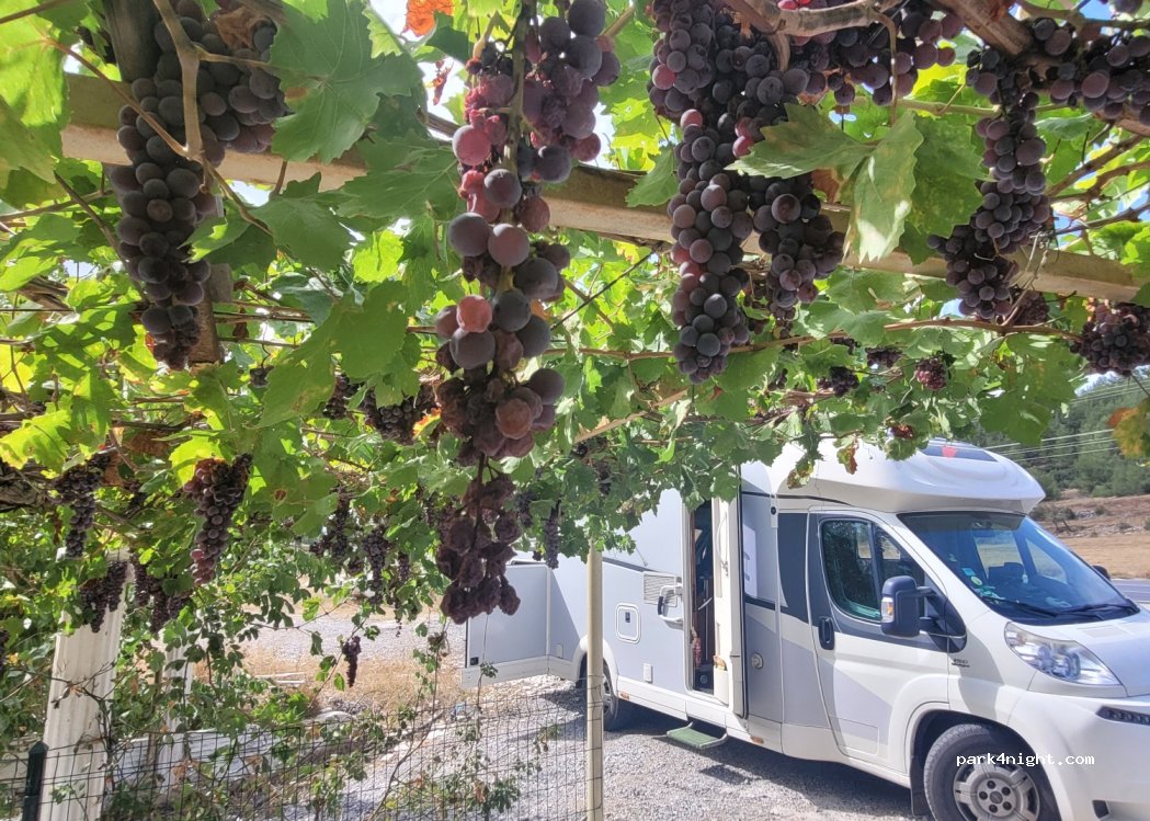 (48400) Yatağan - D330 — foto 2