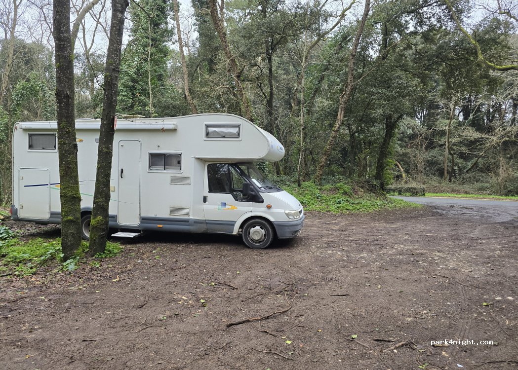 (85560) Longeville-sur-Mer - 1235 Avenue du Docteur Mathevet — foto