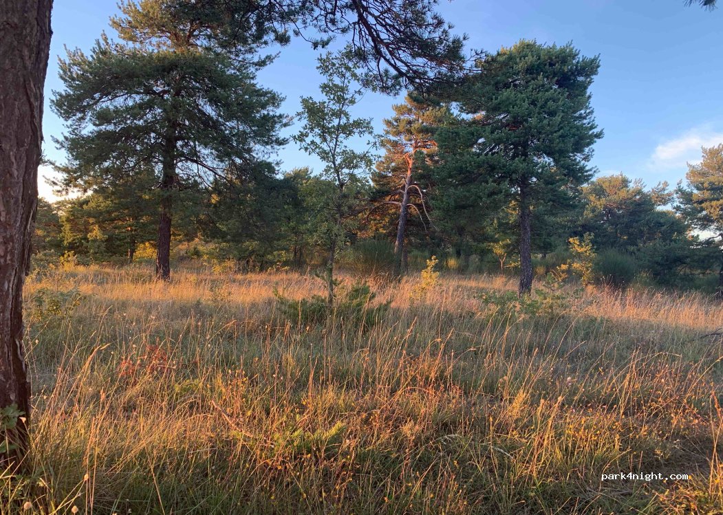 (04110) Montfuron - Unnamed Road — foto 2