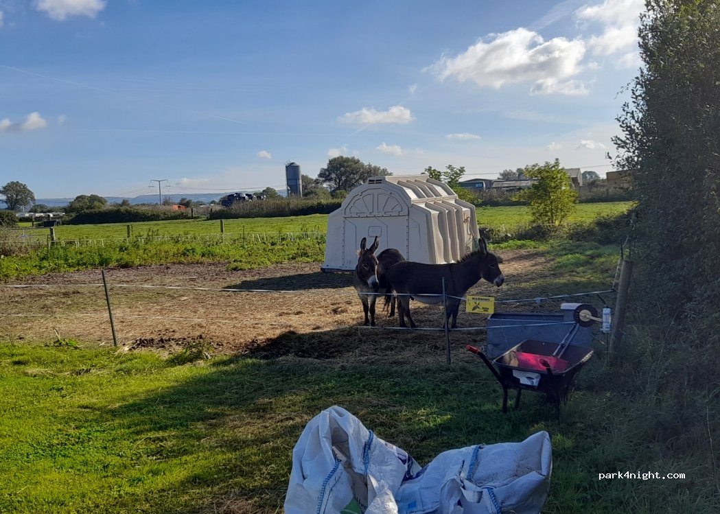 Daisy Farm Campsite (formerly Rookery Farm) — foto 4