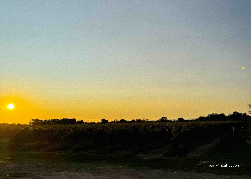 (30470) Aimargues - — foto 3