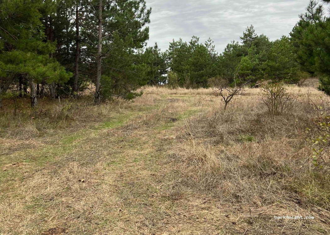 (8253) Plazovec - Unnamed Road — foto 2