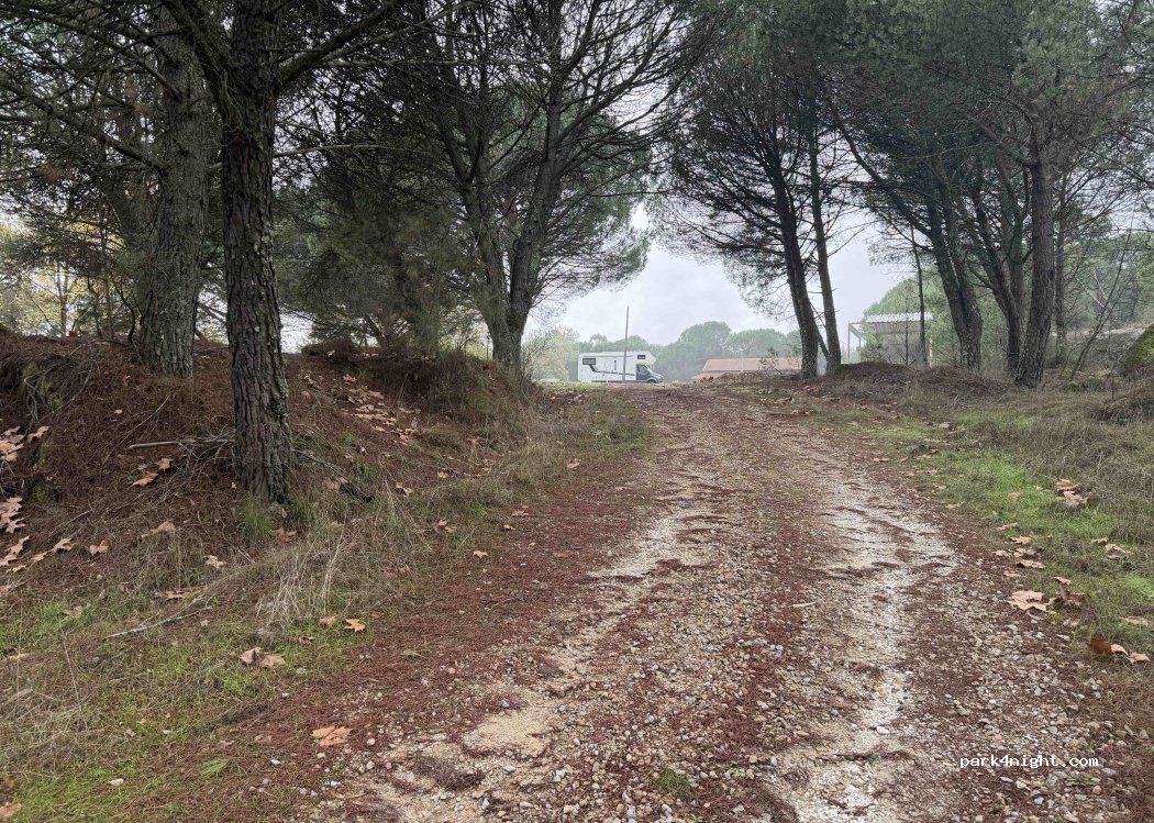 (3530-070) Viseu - — foto 3