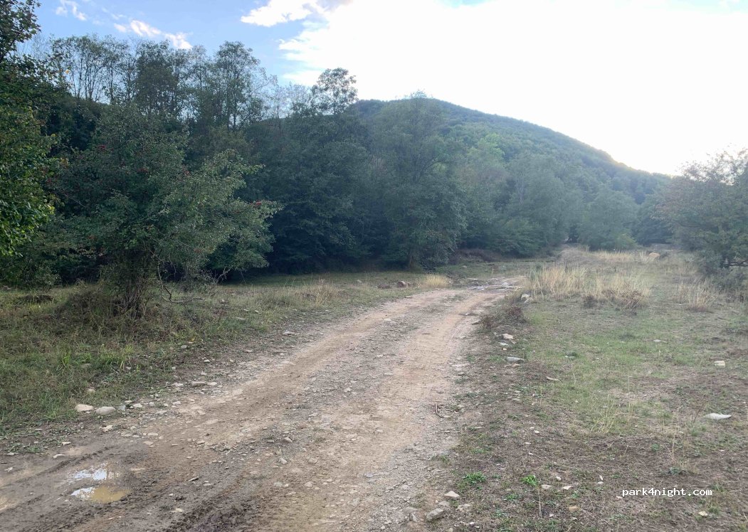 (125103) Curmătura - Unnamed Road — foto