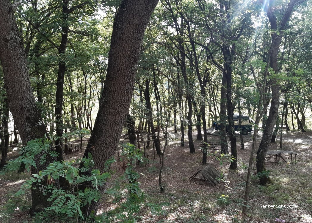 (83049) Monteverde - — foto